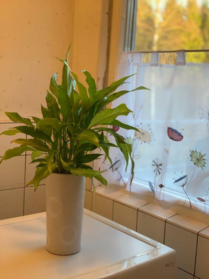 Cozy House In Kosta Center Surrounding With Swedish Nature エクステリア 写真